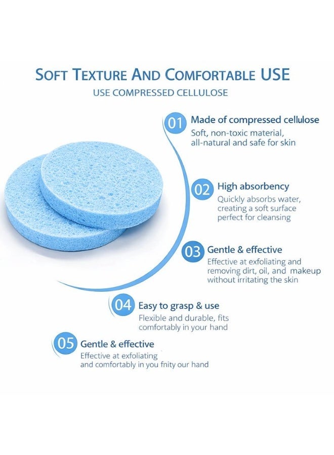 JAGRAVO Compressed Expanding Face Sponges, 12 Pieces (Pack of 1) - Image 4